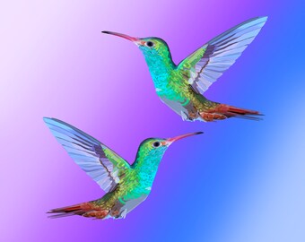 Duo Hummingbird Purple and Blue Art Print, Hummingbird Painting, Hummingbird Wall Art, hummingbird decor, bird lover gift, bird painting.