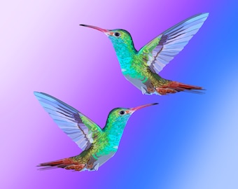 Duo Hummingbird Purple and Blue Art Print, Hummingbird Painting, Hummingbird Wall Art, hummingbird decor, bird lover gift, bird painting.