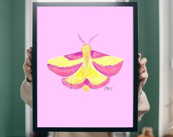 Rosy Maple Moth Art Print, Butterfly Art, Pink Girly Art, Moth Lover, Pink and Yellow Art