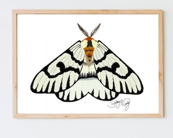 Monochrome Moth: Black and White Butterfly Print, Wall Decor, Butterfly Art Print, Colorful Art Print, Fine Art Print, Butterfly aesthetic