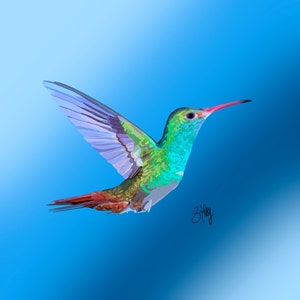Solo Hummingbird Art Print, Hummingbird Painting, Hummingbird Wall Art, hummingbird decor, bird lover gift, bird art, painting.