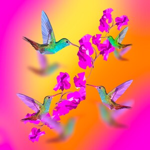 Sunset Hummingbird Art Print, Hummingbird Painting, Hummingbird Wall Art, hummingbird decor, bird lover gift, bird art, painting.