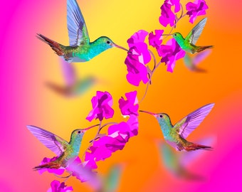 Sunset Hummingbird Art Print, Hummingbird Painting, Hummingbird Wall Art, hummingbird decor, bird lover gift, bird art, painting.