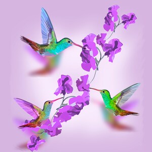 Hummingbird Art Print, Hummingbird Painting, Hummingbird Wall Art, hummingbird decor, bird lover gift, bird art, painting.