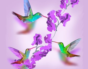 Hummingbird Art Print, Hummingbird Painting, Hummingbird Wall Art, hummingbird decor, bird lover gift, bird art, painting.