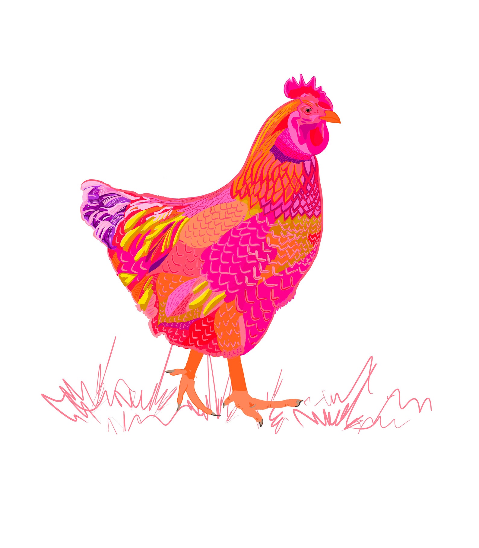 Chicken 