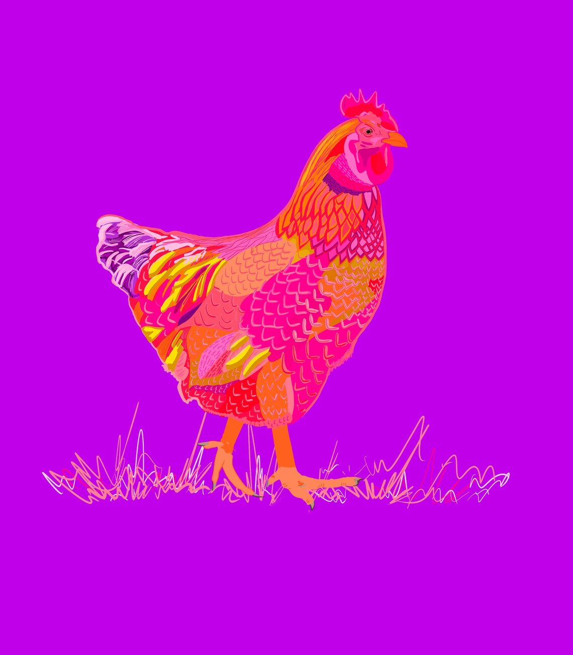 Chicken 