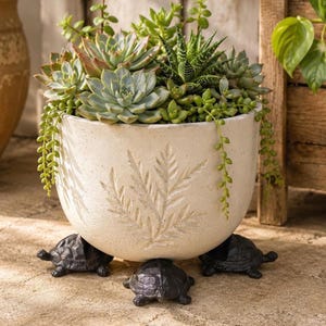 May include: A round, off-white ceramic planter featuring a textured fern leaf pattern on the exterior. The planter is supported by three dark, cast-iron turtle-shaped feet and is filled with a variety of green succulents and trailing plants.