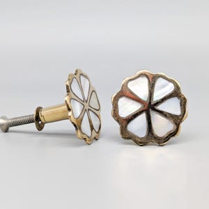 May include: Two brass cabinet knobs with a flower design. The flower is made of white mother of pearl and has a scalloped edge.