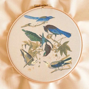 Cross Stitch Wild Birds Pattern Instant Download
