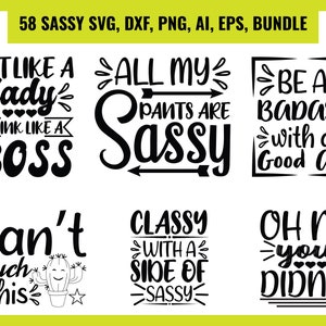 Sassy quotes svg bundle | Sassy sayings svg bundle | Sarcastic Svg Bundle | Funny Svg | Mean Svg Joke Svg |Sarcastic Sayings Svg