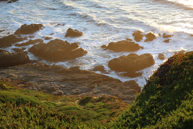 May include: A rocky coastline with green vegetation in the foreground and the ocean in the background. The ocean is a light blue color and the waves are crashing against the rocks. The sun is shining and the water is sparkling.