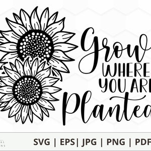 Sunflower svg Grow Where You Are Planted | Summer design | Flower SVG PNG PDF Jpg dxf eps digital download