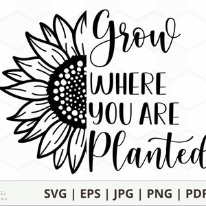 Tournesol svg poussez là où vous êtes planté | Design d'été | Fleur SVG PNG PDF Jpg dxf eps téléchargement numérique