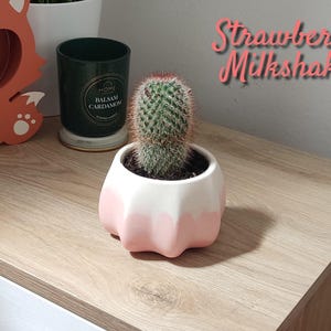 Könnte beinhalten: Ein kleiner Kaktus in einem weiß-rosa Topf steht auf einer Holzoberfläche. Der Topf hat ein einzigartiges, wellenförmiges Design. Eine grüne Kerze und eine fuchsähnliche Dekoration befinden sich im Hintergrund. Der Text "Strawberry Milkshake" steht über dem Kaktus.