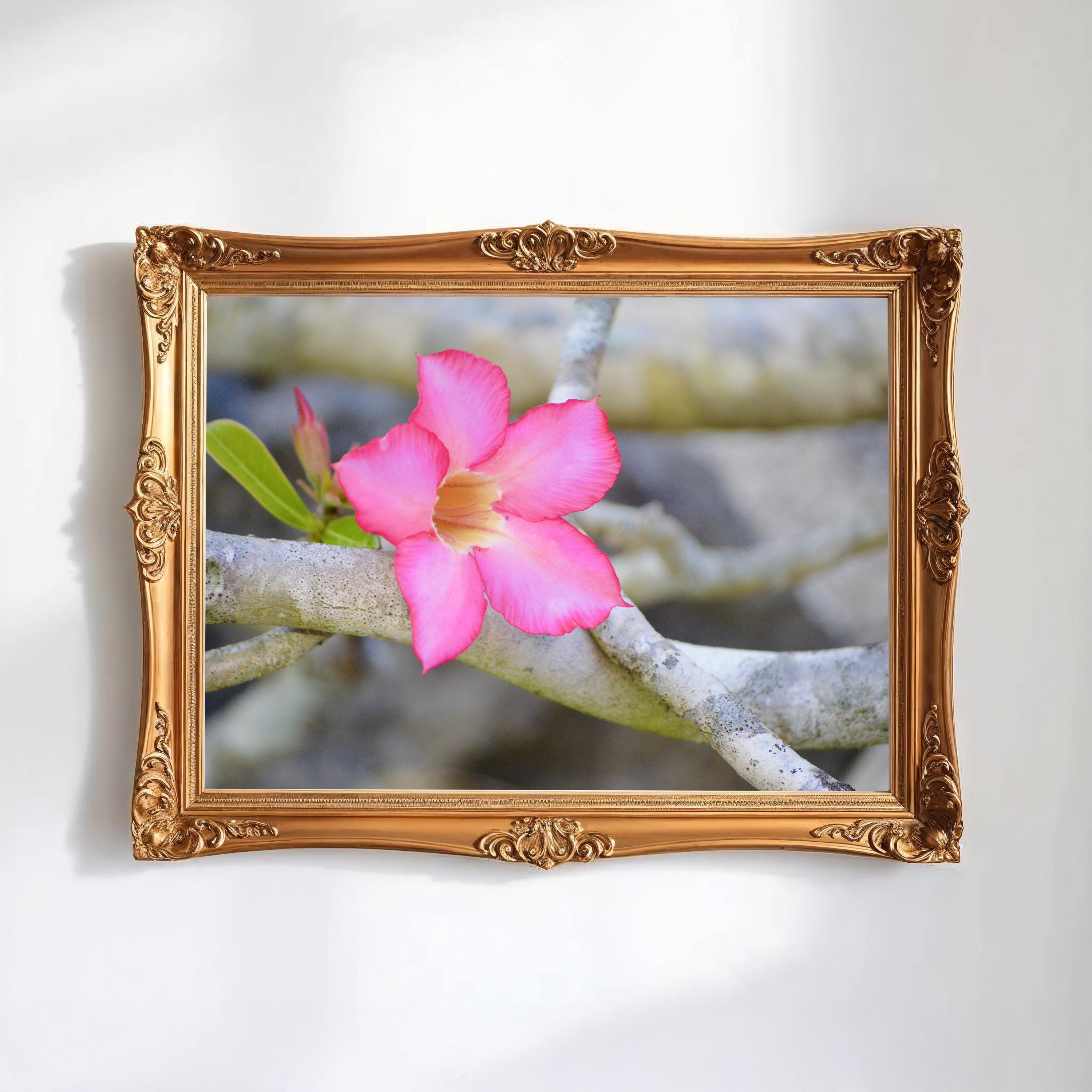 Nature Photography, Pink Tropical Flower Digital Image, Flower Digital Download, Scenic Flower Photo, Home Decor, Wall Art