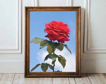 Nature Photography, Red Rose Digital Image, Flower Digital Download, Scenic Flower Photo, Home Decor, Wall Art