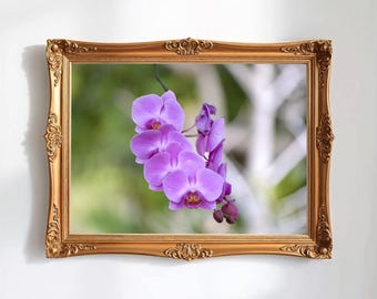 自然写真、蘭のデジタル画像、花のデジタルダウンロード、風景の花の写真、室内装飾、壁アート