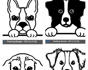 Peeking Dog Decals, Dog Breeds, Dog People, Dog Presents, Dog Mom, Dog Dad, Dog Parents, Dog Lovers, Car Stickers