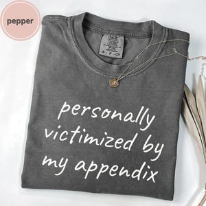 May include: A gray Comfort Colors t-shirt with the phrase "personally victimized by my appendix" in white lettering. A silver necklace with a small pendant rests on the shirt. The shirt is a size small.
