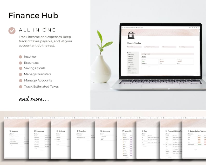 Screenshot of notion finance hub template.