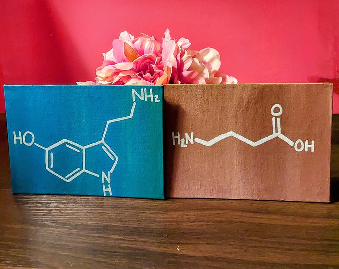 Selective Serotonin Reuptake Inhibitor | SSRI | Neurotransmitter | Molecule | Chemical Wall Decor | Housewarming Gift | Wall Sign