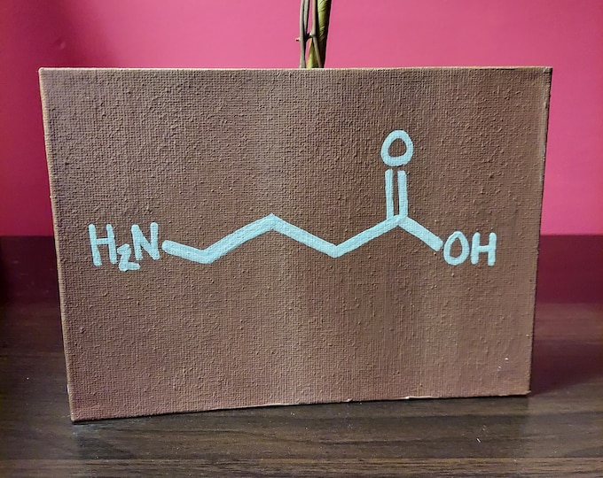 GABA Neurotransmitter