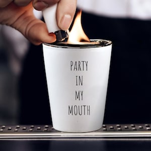 Funny Shot Glass, Birthday Shot Glass, Party In My Mouth Shot Glass, Holiday Party Shot Glass, Party Drinkware, BFF Gift, Halloween Gift