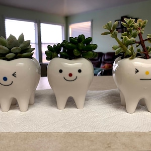 Molar Vase, Dental Vase, Tooth Vase, Dental Planter, Tooth Planter, Dental Hygiene Gift, Dental Succulents, Tooth Succulent, Tooth Shape Pot