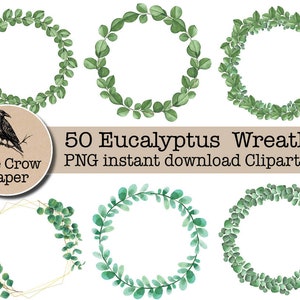 50 Eucalyptus wreath clipart | Eucalyptus Clipart Bundle | Greenery Clipart | Eucalyptus Frame | Watercolor Eucalyptus | instant download