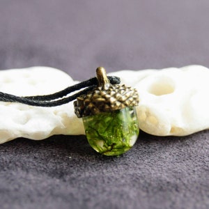 Acorn pendant with real moss and cap in bronze/silver/gold image 3