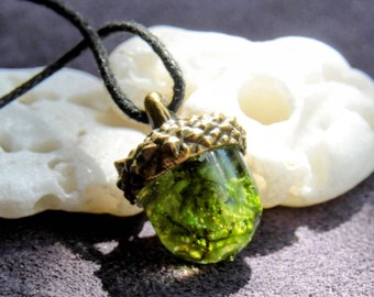 Acorn pendant with real moss and cap in bronze/silver/gold