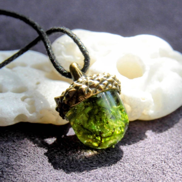 Acorn pendant with real moss and cap in bronze/silver/gold