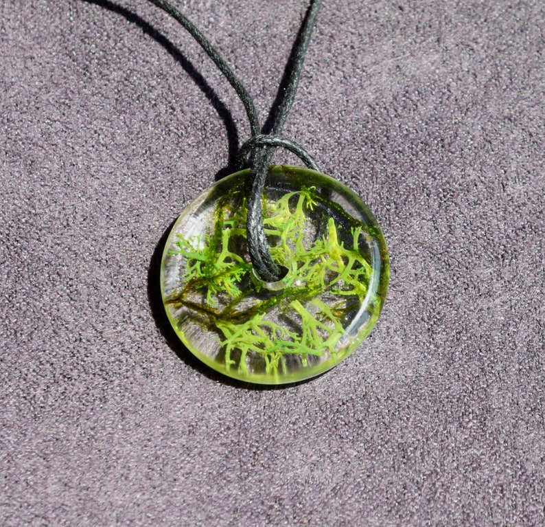 Unique moss necklace/pendant made from epoxy resin image 2