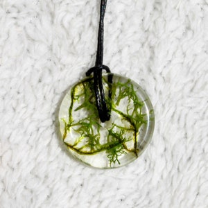 Unique moss necklace/pendant made from epoxy resin image 4