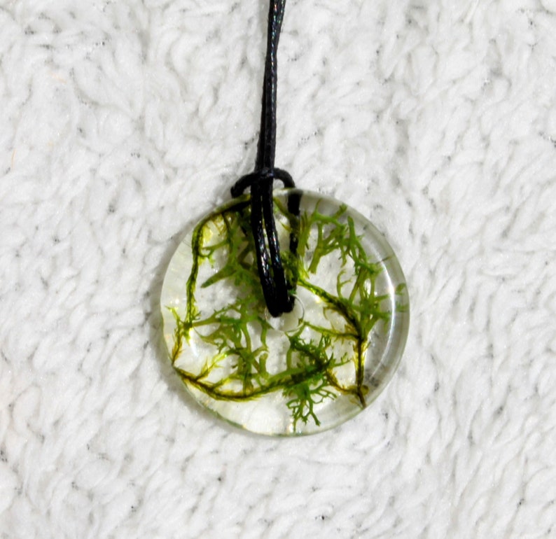 Unique moss necklace/pendant made from epoxy resin image 4