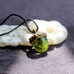 Acorn pendant with real moss and cap in bronze/silver/gold image 2