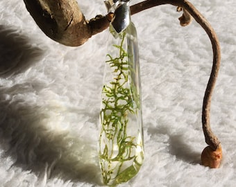 Little pendant in crystal form with real moss.