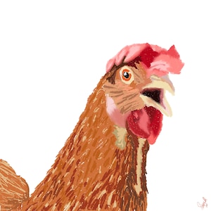 Hand drawn chicken greetings card blank for any occasion