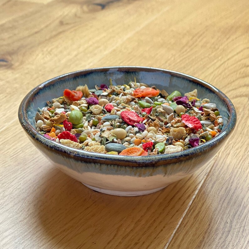 May include: A blue and white ceramic bowl filled with a variety of birdseed, including sunflower seeds, millet, and dried fruit.
