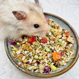 Premium Syrian Hamster Food, Organic Food Mix For Syrian Hamsters, Luxury Variety Mix For Syrian Hamsters, Organic Food For Hamsters