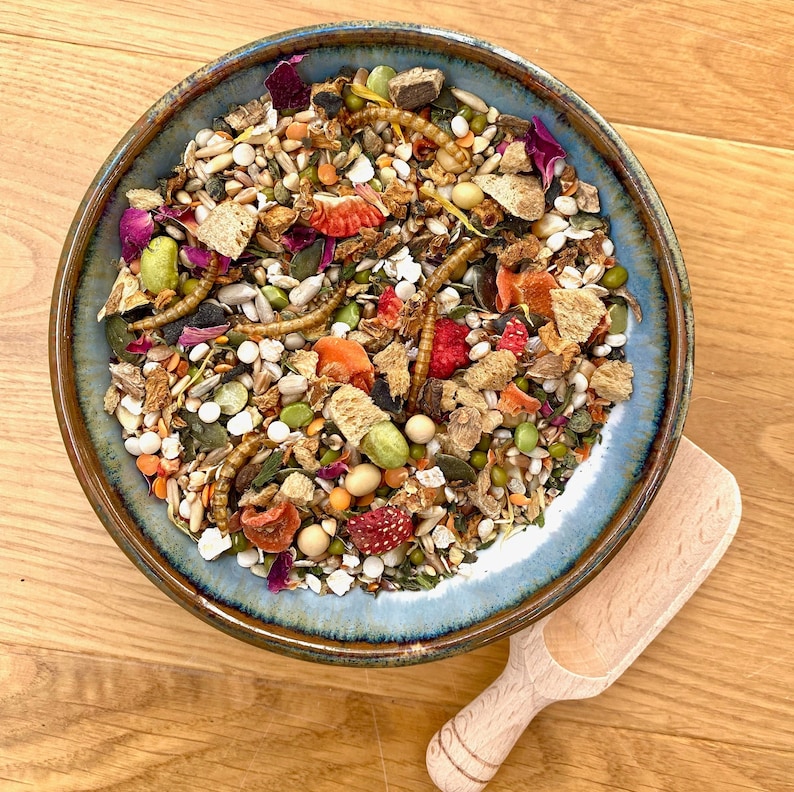 May include: A blue ceramic bowl filled with a variety of dried foods, including seeds, nuts, dried fruit, and insects. The bowl is on a wooden surface.