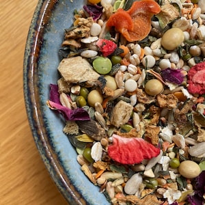 May include: A blue ceramic bowl filled with a variety of birdseed, including dried fruits, seeds, and grains.