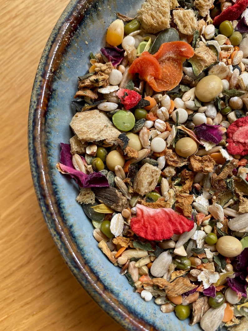 May include: A blue ceramic bowl filled with a variety of birdseed, including dried fruits, seeds, and grains.