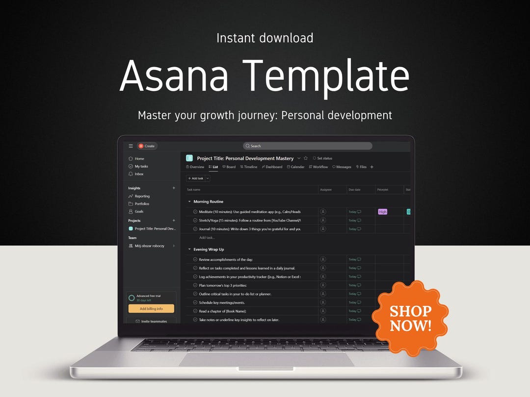 Asana Task Management Template: Project Tracker (digital Download) - Etsy