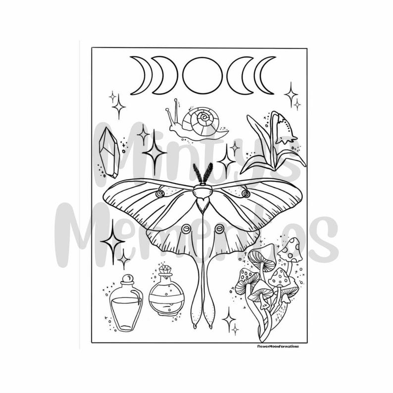 Luna Moth Whimsical Coloring Page - Adult Coloring Page, Doodle Coloring Page - Digital Download for Stress Relief image 2