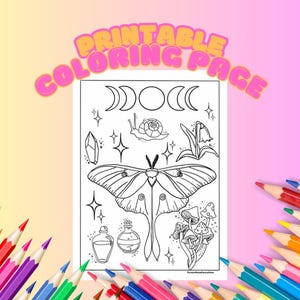 Luna Moth grillige kleurplaat, kleurplaat voor volwassenen, kleurplaat doodle, stressverlichting