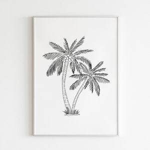 May include: A black and white line drawing of two palm trees with coconuts on a white background.
