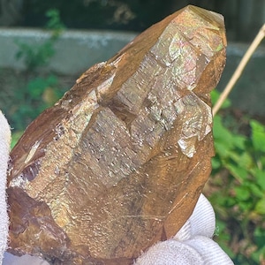 GoldenHeale,Gold Himalayan Cathedral Lightbrary Crystal,Elestial Quartz w/Iridescent Coating,ISIS,Volcanic Mud Inclusions,Healing Gift-42.3g