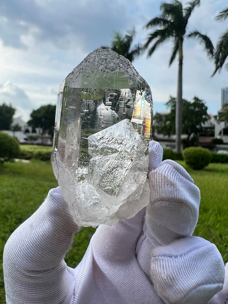 May include: A large, clear quartz crystal with a pointed tip and a flat base. The crystal is held in white gloves against a green grassy background.